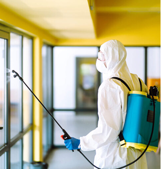 Pest Control Service