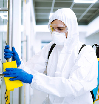 Pest Control Treatment