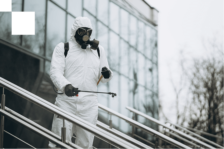 Pest Inspection and Control