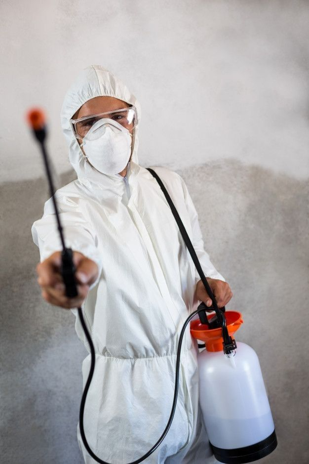 Pest Control Service