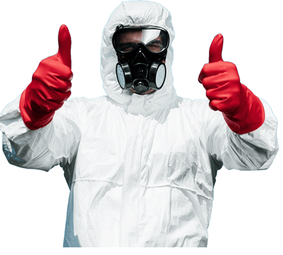 Pest Control Expert