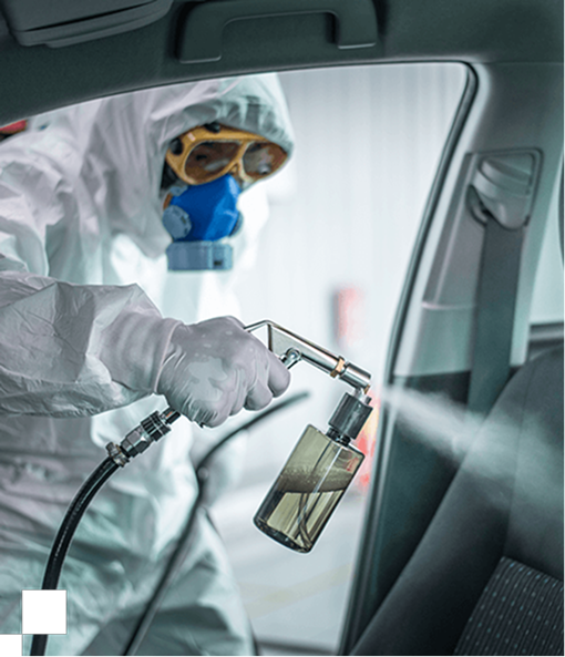 Specialized Pest Treatment